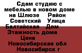 Сдам студию с мебелью в новом доме на Шлюзе. › Район ­ Советский › Улица ­ Балтийская › Дом ­ 31 › Этажность дома ­ 17 › Цена ­ 18 000 - Новосибирская обл., Новосибирск г. Недвижимость » Квартиры аренда   . Новосибирская обл.,Новосибирск г.